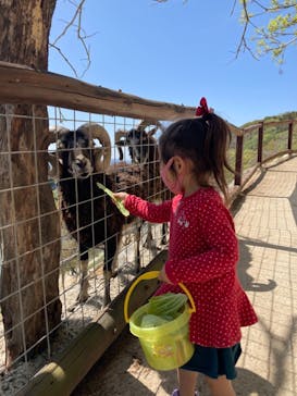 しろとり動物園に投稿された画像（2022/4/16）