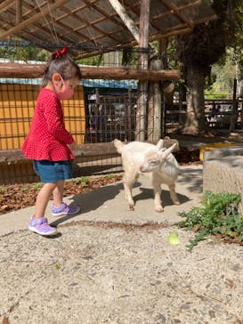 しろとり動物園に投稿された画像（2022/4/16）