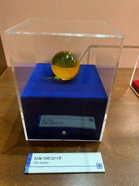 国立科学博物館　特別企画展「ポケモン化石博物館」に投稿された画像（2022/4/16）