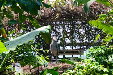 神戸どうぶつ王国に投稿された画像（2022/4/16）