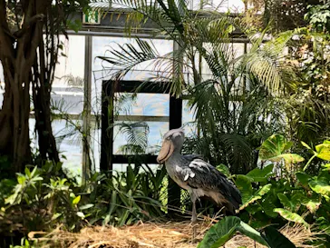 神戸どうぶつ王国に投稿された画像（2022/4/16）