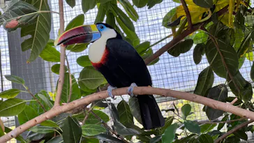 神戸どうぶつ王国に投稿された画像（2022/4/16）