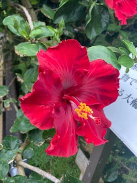 熱川バナナワニ園に投稿された画像（2022/4/16）