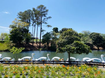 淡路ファームパーク イングランドの丘に投稿された画像（2022/4/16）