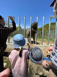 しろとり動物園に投稿された画像（2022/4/16）