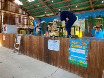 しろとり動物園に投稿された画像（2022/4/16）