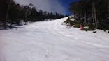 信州開田高原マイアスキー場に投稿された画像（2022/4/17）