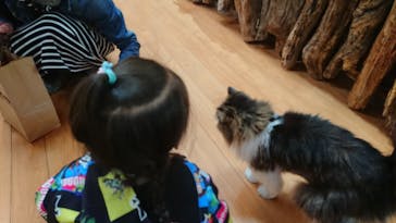 長崎バイオパークに投稿された画像（2022/4/16）