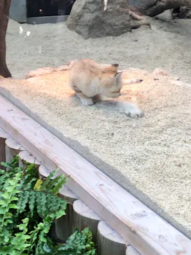 神戸どうぶつ王国に投稿された画像（2022/4/16）