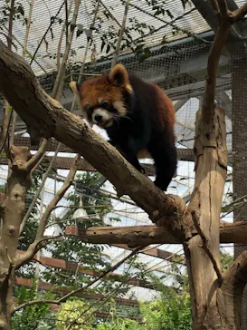 神戸どうぶつ王国に投稿された画像（2022/4/16）