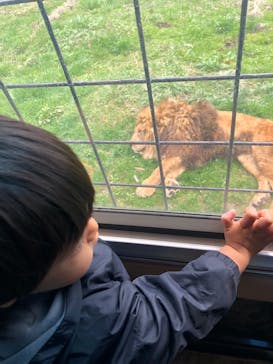 那須サファリパークに投稿された画像（2022/4/16）