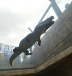 沖縄こどもの国に投稿された画像（2022/4/17）