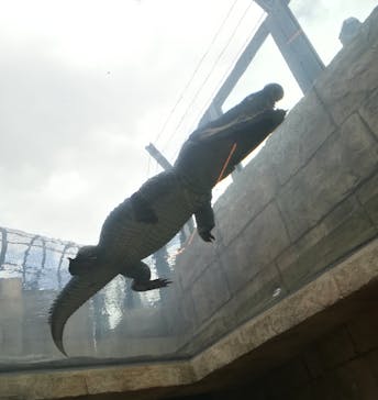 沖縄こどもの国に投稿された画像（2022/4/17）