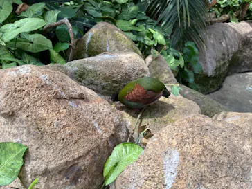 神戸どうぶつ王国に投稿された画像（2022/4/17）