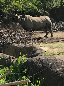 天王寺動物園に投稿された画像（2022/4/17）