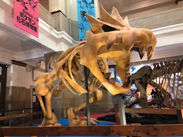 国立科学博物館　特別企画展「ポケモン化石博物館」に投稿された画像（2022/4/17）
