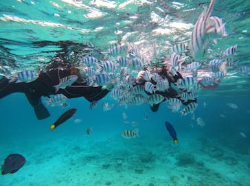 青の洞窟専門店　沖縄ダイビングショップ和に投稿された画像（2022/4/17）