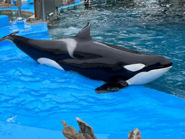 名古屋港水族館に投稿された画像（2022/4/17）