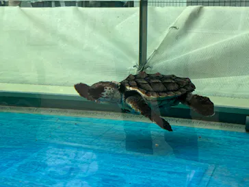 名古屋港水族館に投稿された画像（2022/4/17）