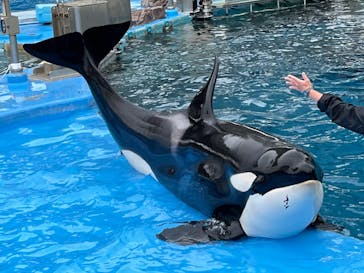 名古屋港水族館に投稿された画像（2022/4/17）