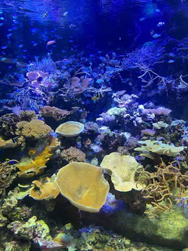 名古屋港水族館に投稿された画像（2022/4/17）