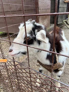 ビオスの丘に投稿された画像（2022/4/17）