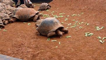 体感型動物園iZooに投稿された画像（2022/4/17）