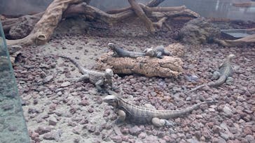 体感型動物園iZooに投稿された画像（2022/4/17）