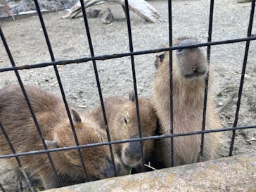 アロハガーデンたてやまに投稿された画像（2022/4/17）