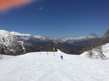 Hakuba47ウィンタースポーツパークに投稿された画像（2022/4/17）