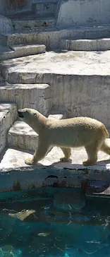 天王寺動物園に投稿された画像（2022/4/17）