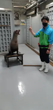 仙台うみの杜水族館に投稿された画像（2022/4/12）