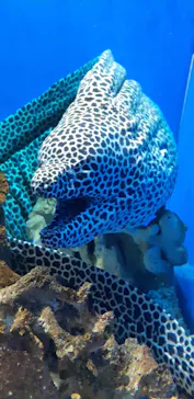 仙台うみの杜水族館に投稿された画像（2022/4/12）