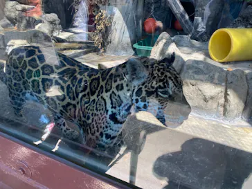 天王寺動物園に投稿された画像（2022/4/17）