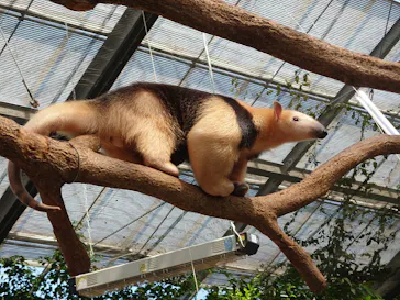 神戸どうぶつ王国に投稿された画像（2022/4/17）