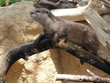 神戸どうぶつ王国に投稿された画像（2022/4/17）