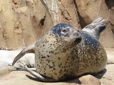 神戸どうぶつ王国に投稿された画像（2022/4/17）