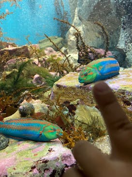 名古屋港水族館に投稿された画像（2022/4/17）