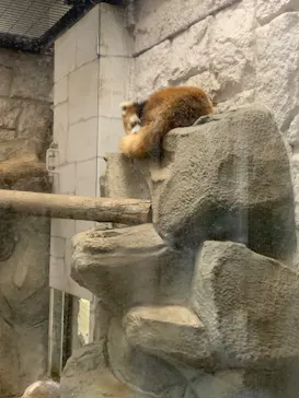 天王寺動物園に投稿された画像（2022/4/17）