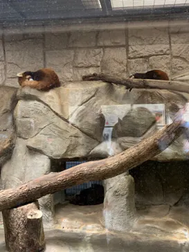 天王寺動物園に投稿された画像（2022/4/17）