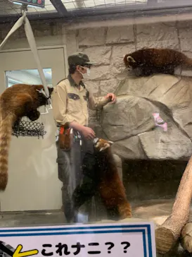 天王寺動物園に投稿された画像（2022/4/17）