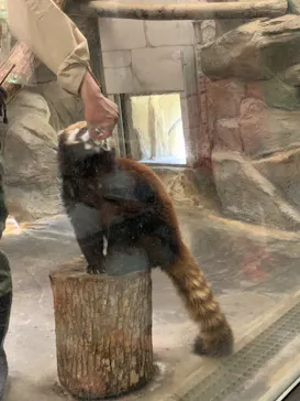 天王寺動物園に投稿された画像（2022/4/17）