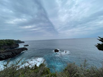 ニューヨークランプミュージアム＆フラワーガーデンに投稿された画像（2022/4/17）