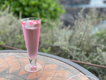 ニューヨークランプミュージアム＆フラワーガーデンに投稿された画像（2022/4/17）