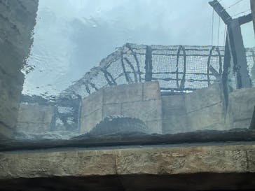 沖縄こどもの国に投稿された画像（2022/4/17）