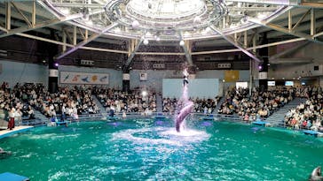 マクセル アクアパーク品川に投稿された画像（2022/4/17）