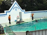 しながわ水族館に投稿された画像（2022/4/17）