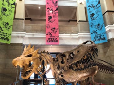 国立科学博物館　特別企画展「ポケモン化石博物館」に投稿された画像（2022/4/17）