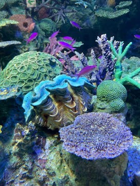 サンシャイン水族館に投稿された画像（2022/4/17）