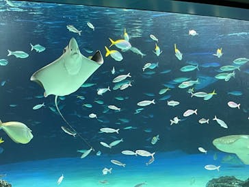 サンシャイン水族館に投稿された画像（2022/4/17）